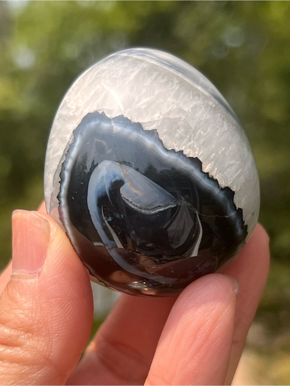 Black (5) lace egg with stand | crystal